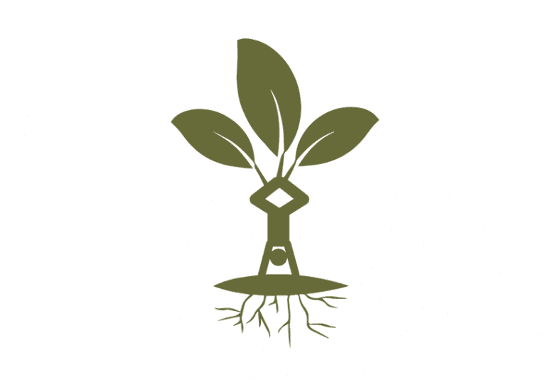 Liz Fairweather's Logo